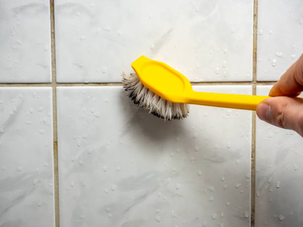 Best Commercial Mold Remediation in Kenworth, IL