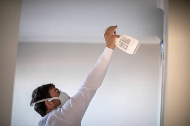 Best White Mold Remediation in Kenworth, IL