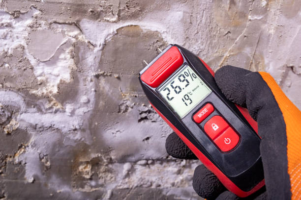 Best Health and Safety Mold Remediation in Kenworth, IL