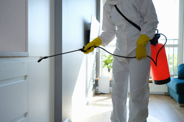 Best HVAC Mold Remediation in Kenworth, IL